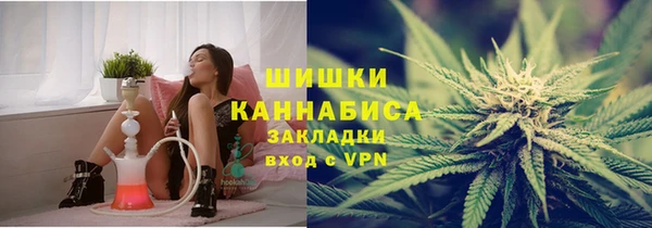 сатива Сосновка