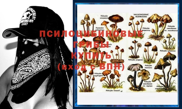 дживик Сосновоборск