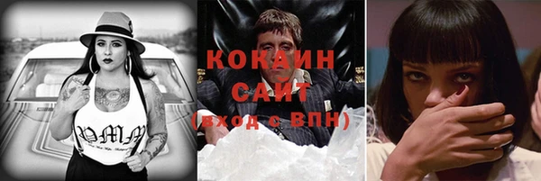 сатива Сосновка