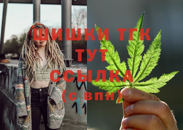 сатива Сосновка