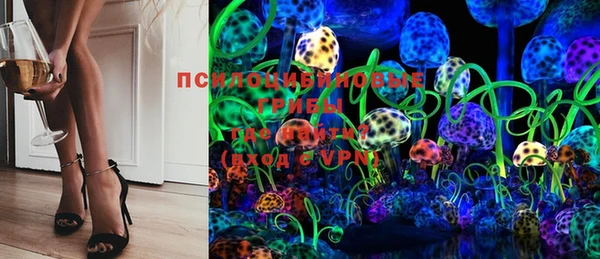 сатива Сосновка