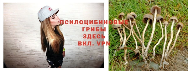 сатива Сосновка