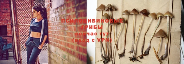mix Сосновый Бор