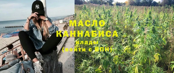 сатива Сосновка