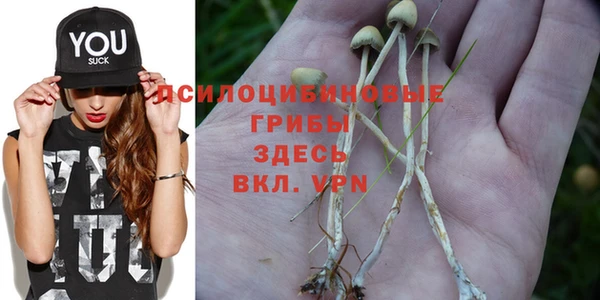 сатива Сосновка