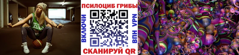 Псилоцибиновые грибы прущие грибы  Цимлянск 